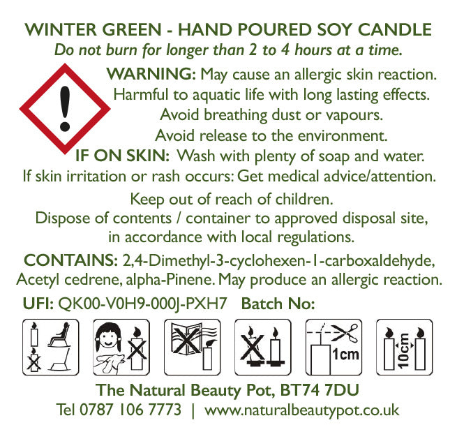 Winter Green Soy Candle 30cl