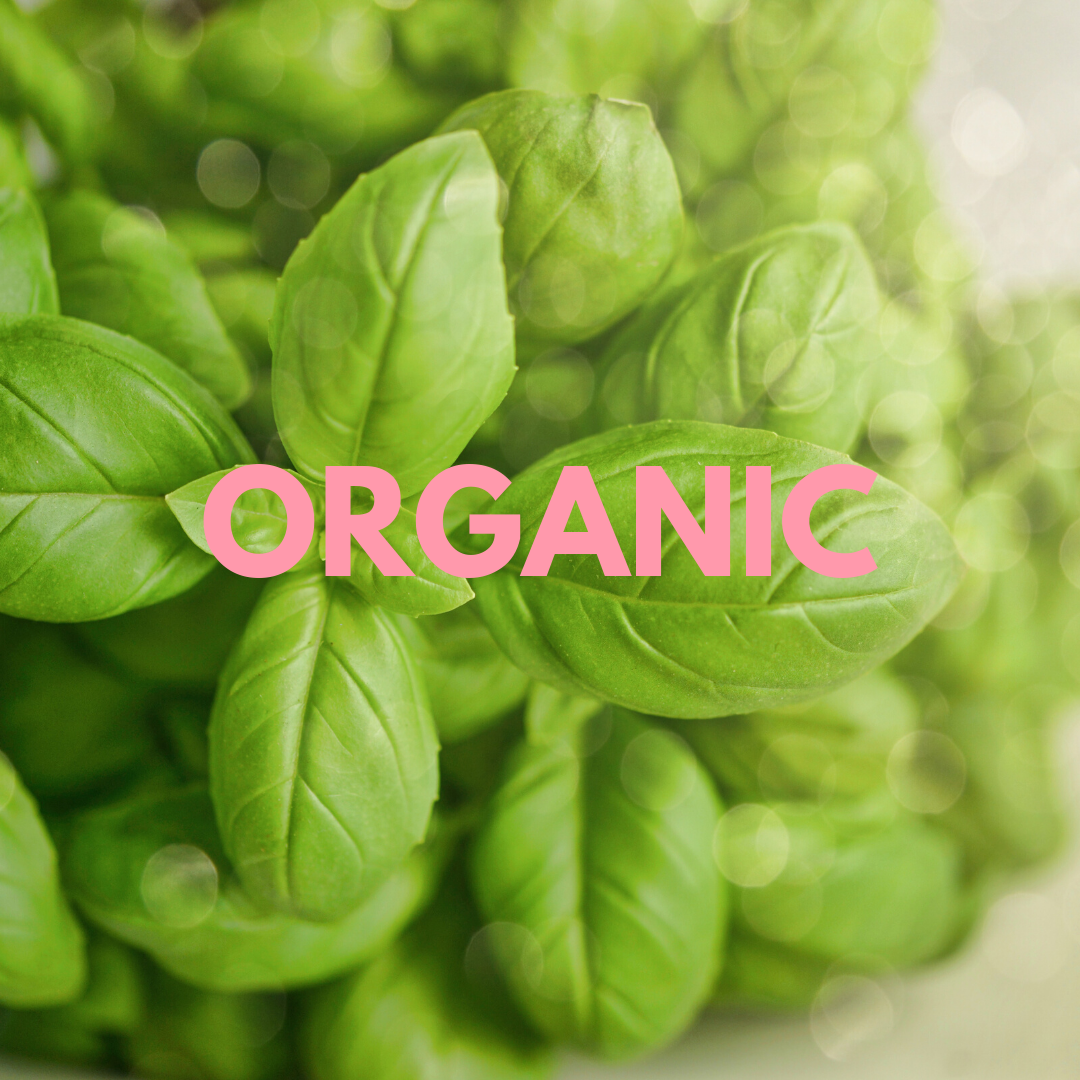 Organic Beauty