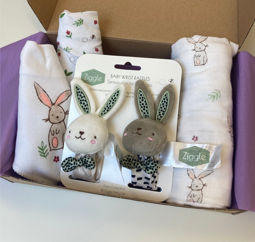 Bunnies Baby Gift