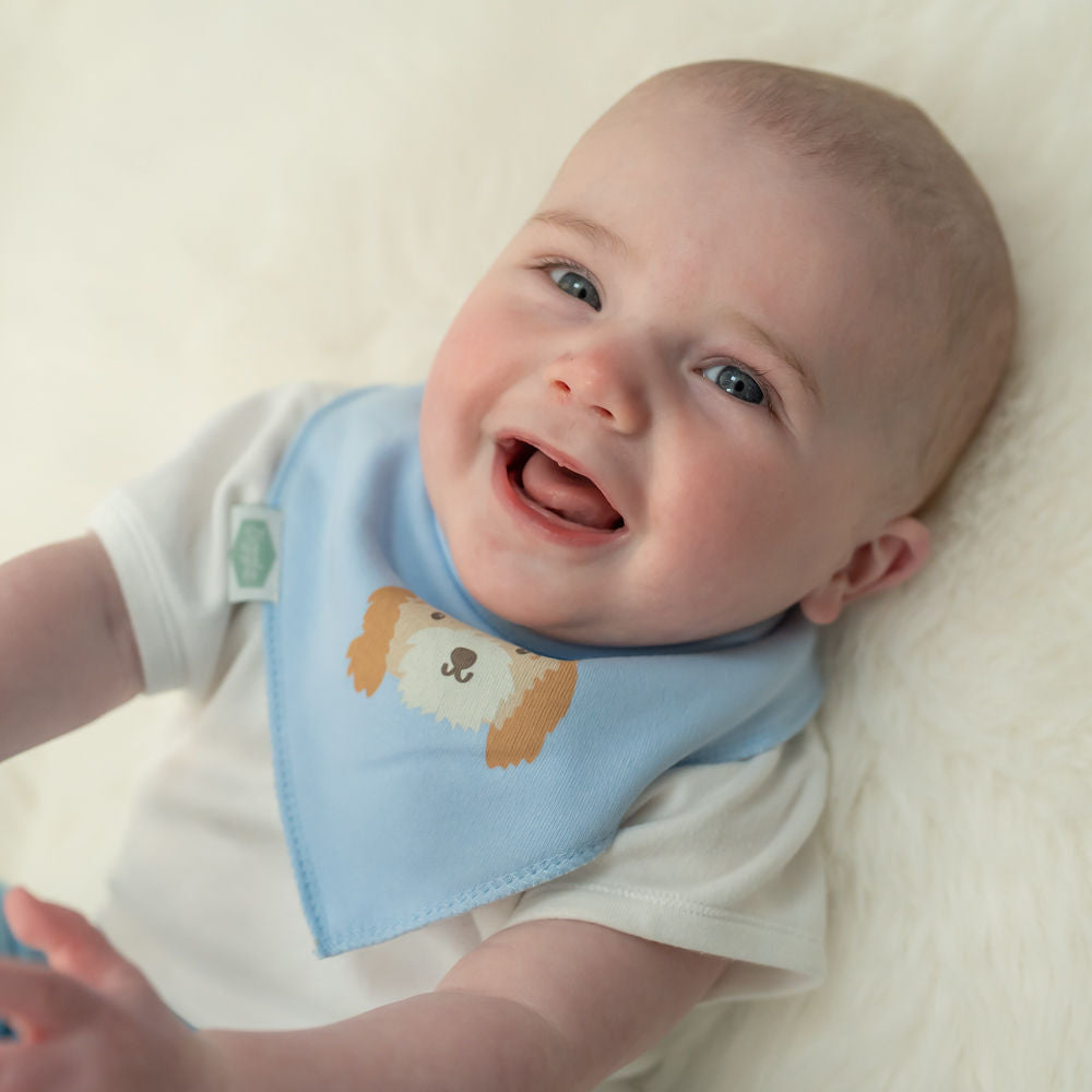 Dribble Bib
