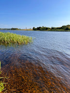 On the Lough Wax Melts 60g
