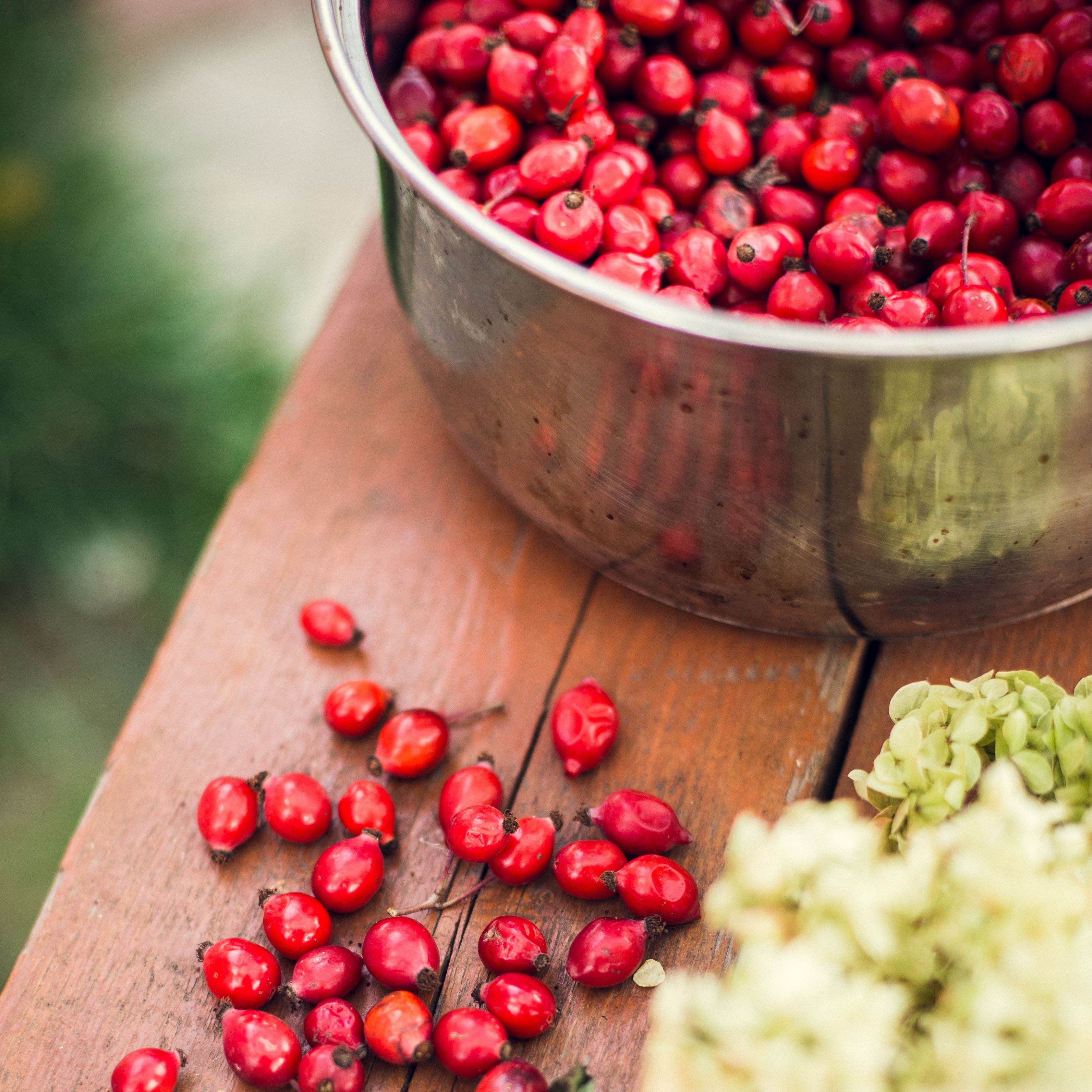 Organic Rosehips are great for hydrating skin as a Natural Moisturiser