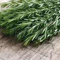 Rosemary great for spot prone skin