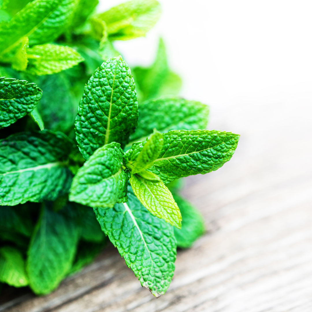 Fresh Mint Soy Wax Melts 18g